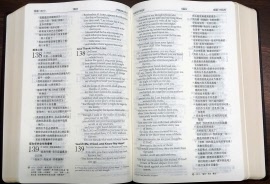 a3-8bv psalms